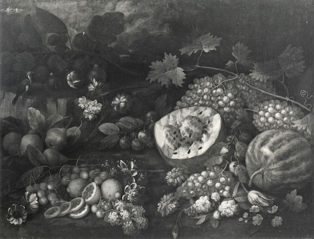 Anonimo — Autore non indicato - sec. XVII/ XVIII - Natura morta con pere, ciliegie, agrumi, cocomeri, uva e fiori — insieme